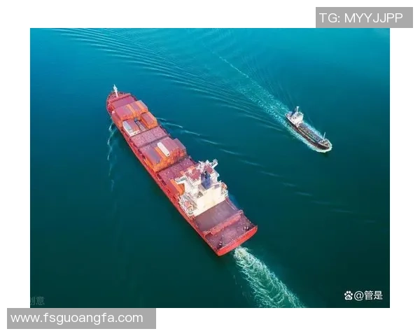 青年赛特别报道:LNG如何在转型中迎接未来挑战与机遇